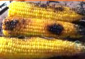 Corn On The Cob On The Embers